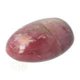 Versteinerter Holzhandstein Nr. 36