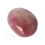 Versteinerter Holzhandstein Nr. 36