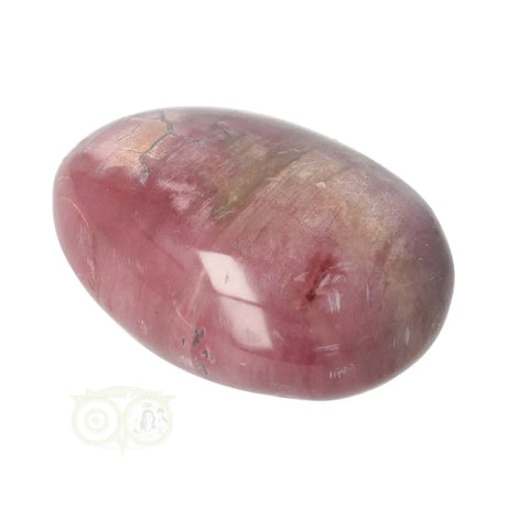 Versteend hout handsteen Nr 36