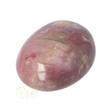 Versteinerter Holzhandstein Nr. 36