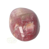 Versteinerter Holzhandstein Nr. 36