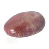 Versteinerter Holzhandstein Nr. 36