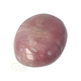 Versteinerter Holzhandstein Nr. 36