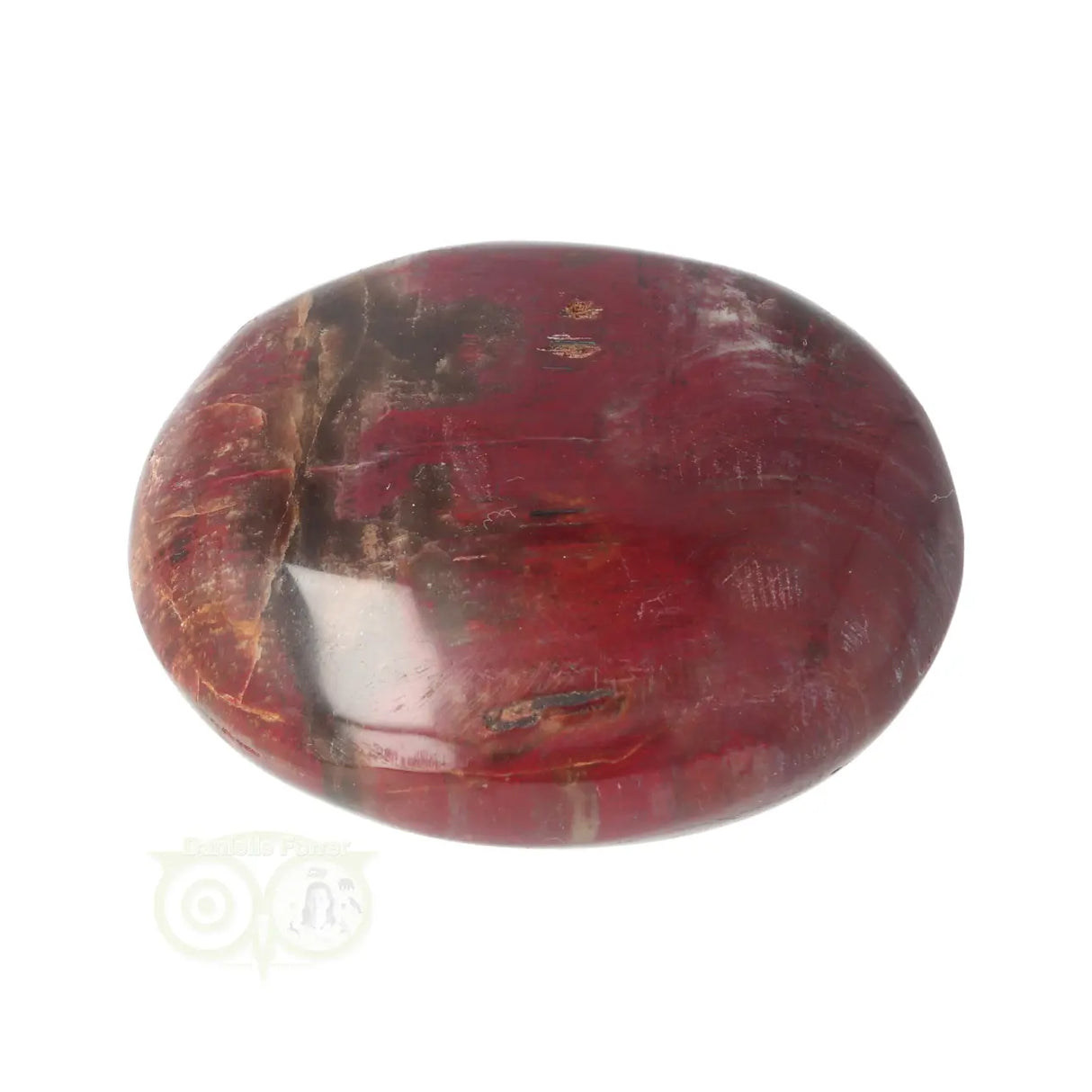 Versteend hout handsteen Nr 38