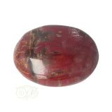 Versteend hout handsteen Nr 38