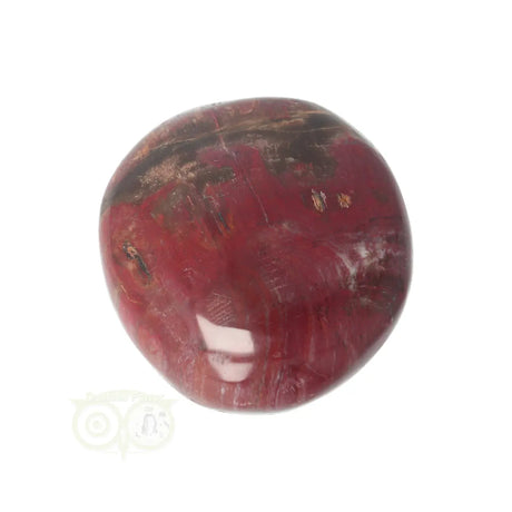 Versteend hout handsteen Nr 38