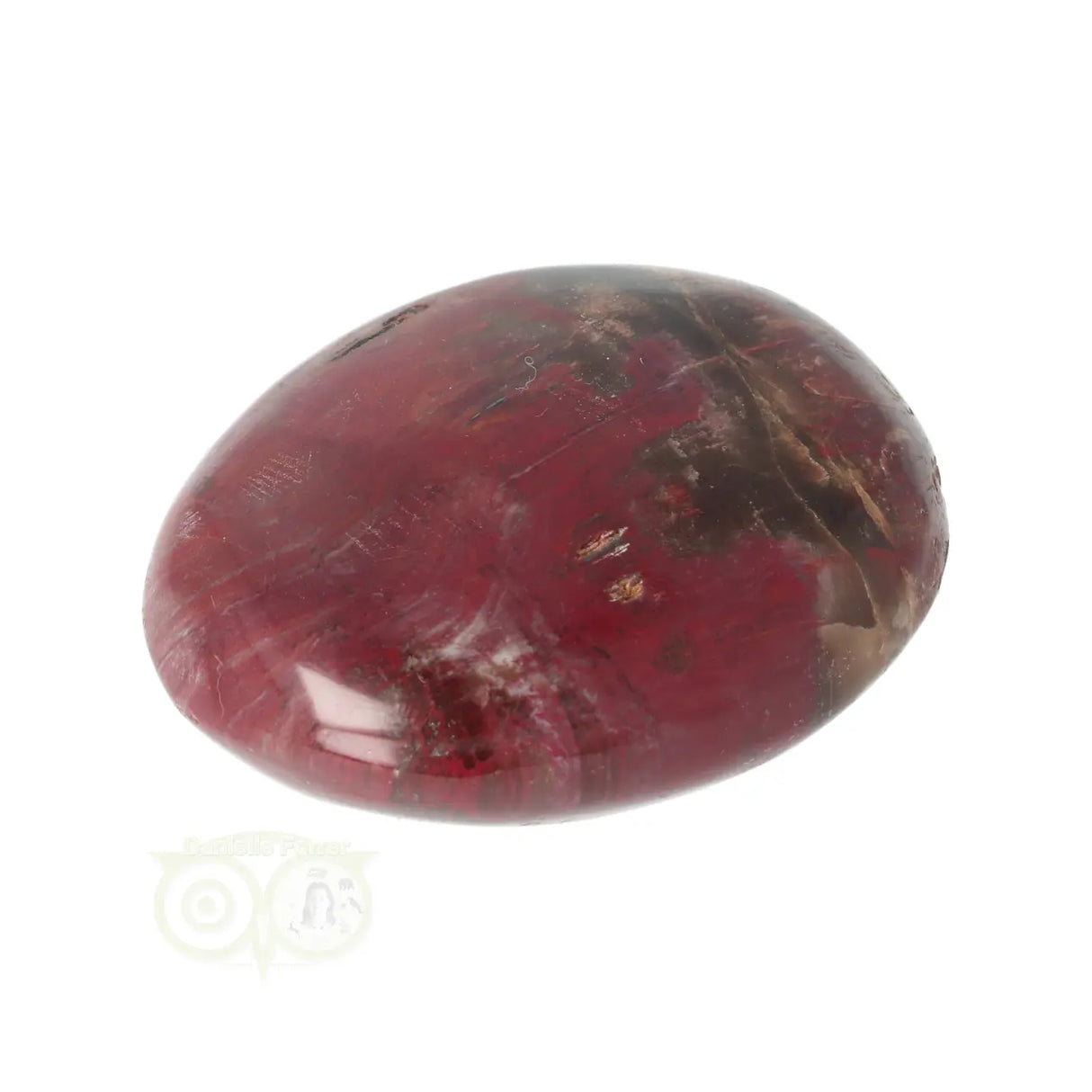 Versteend hout handsteen Nr 38