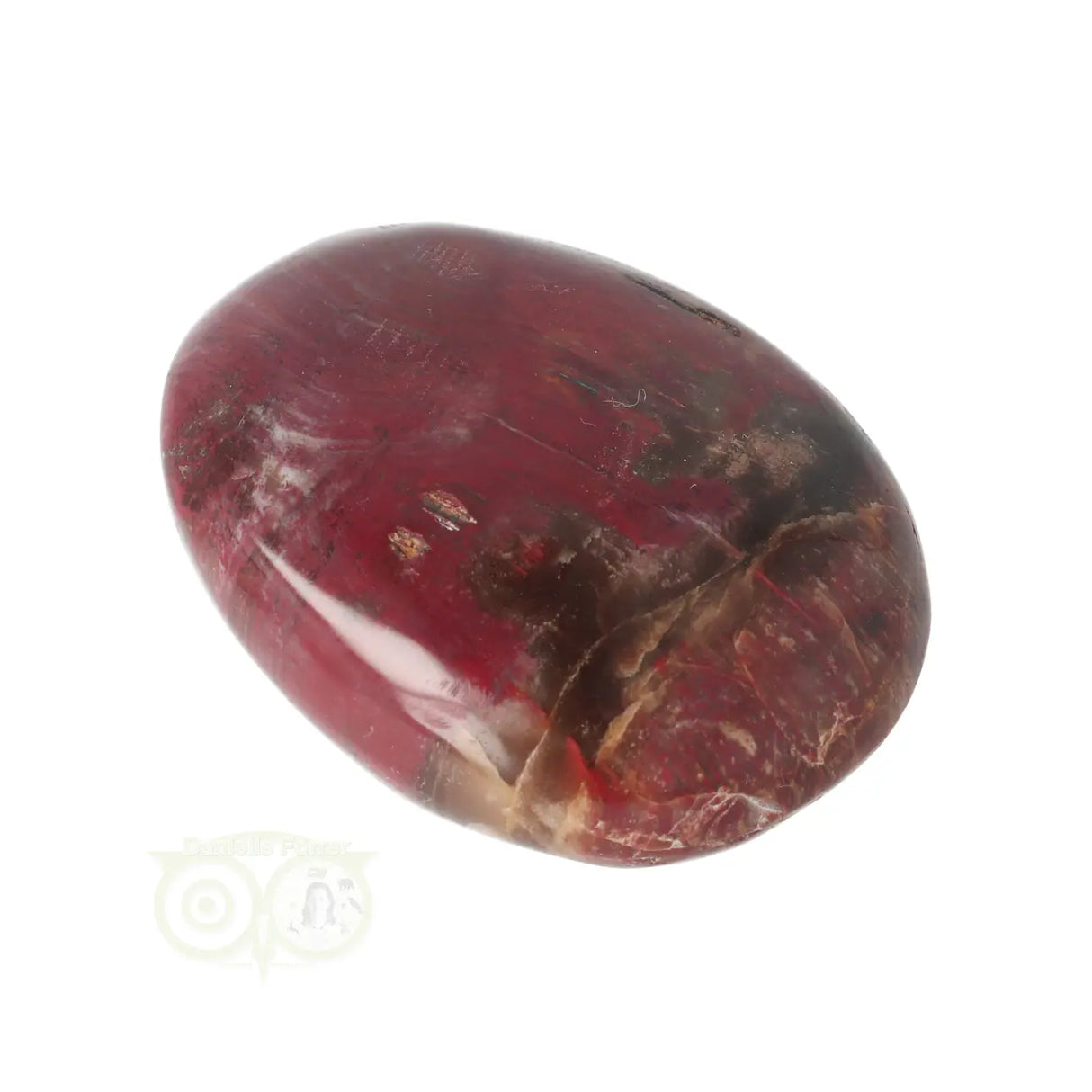 Versteend hout handsteen Nr 38