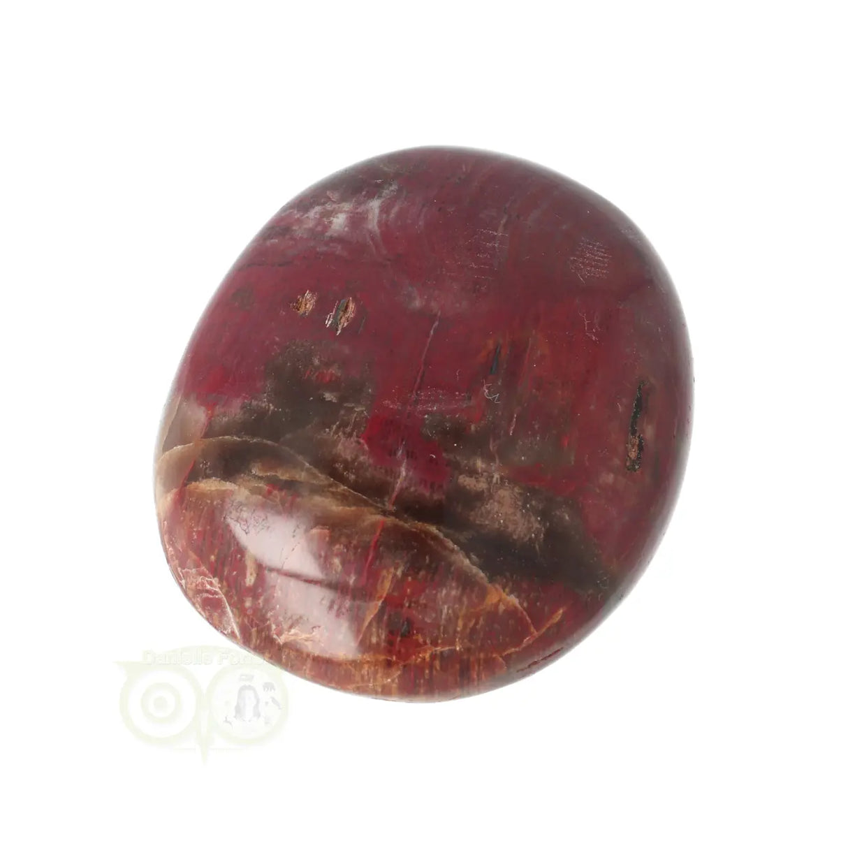 Versteend hout handsteen Nr 38