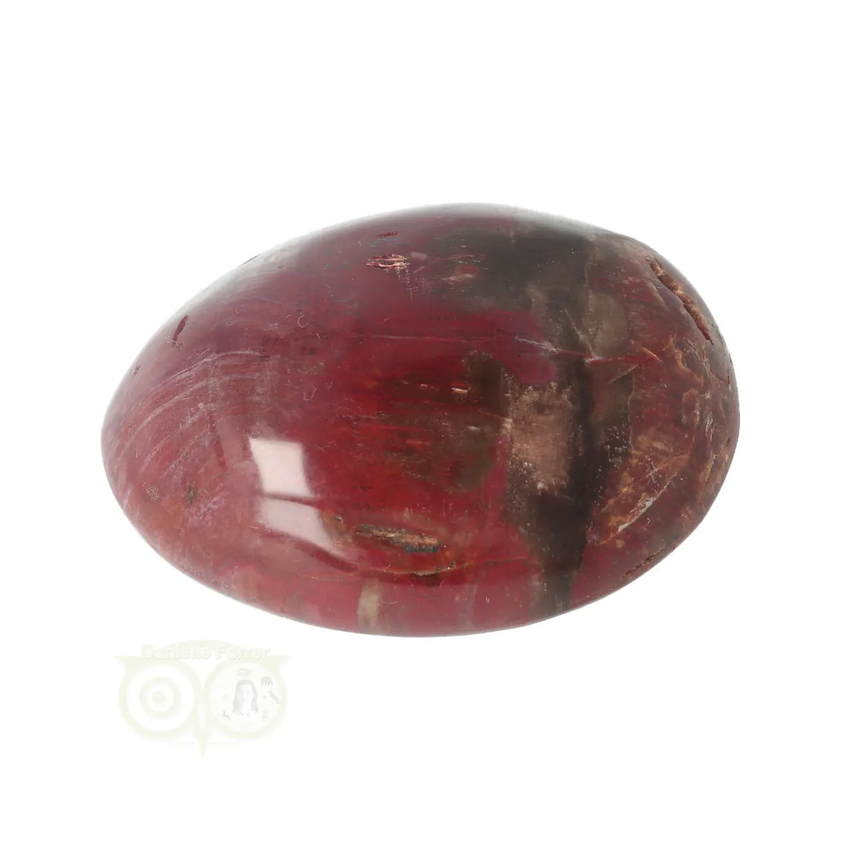 Versteend hout handsteen Nr 38