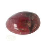 Versteend hout handsteen Nr 38