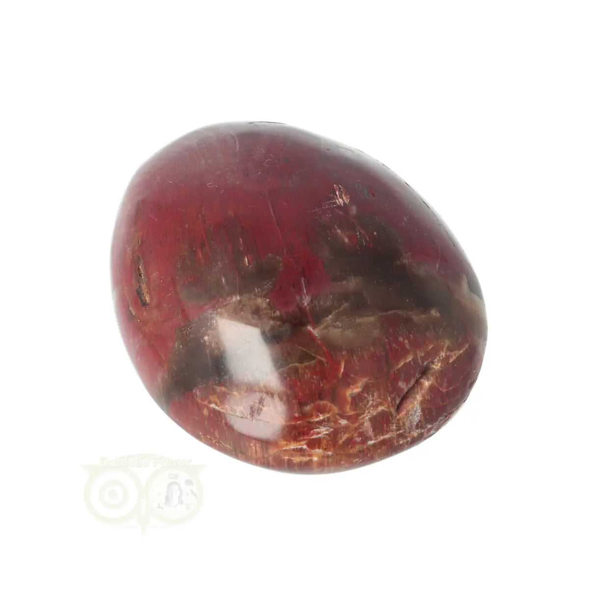 Versteend hout handsteen Nr 38