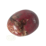 Versteend hout handsteen Nr 38