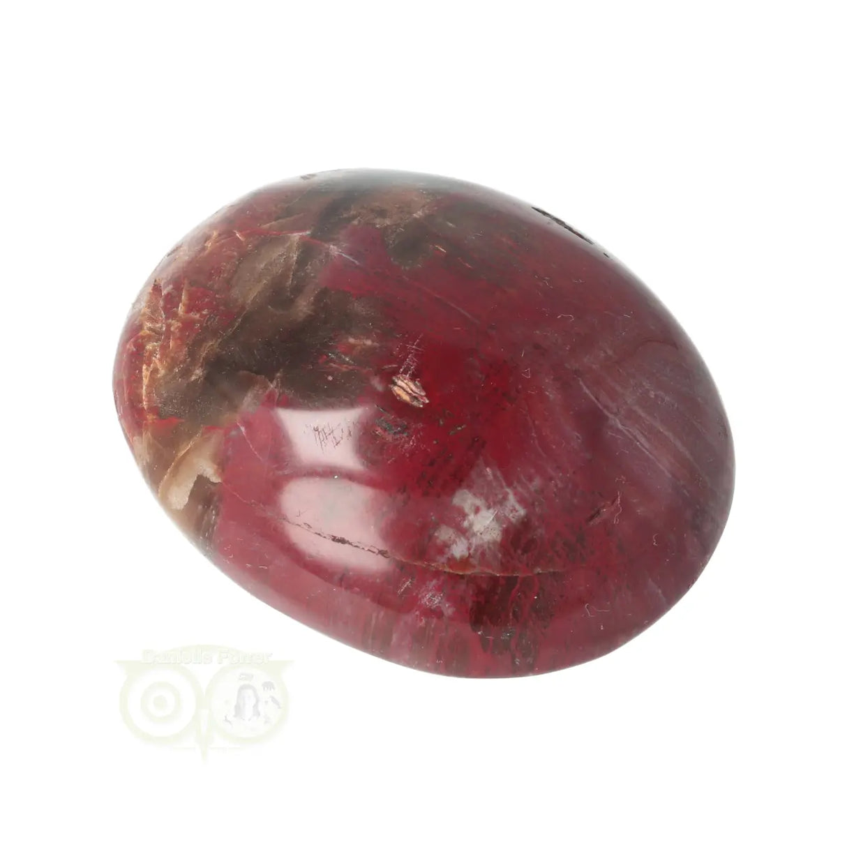 Versteend hout handsteen Nr 38