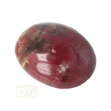 Versteend hout handsteen Nr 38