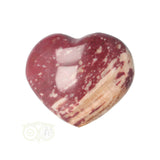 Versteend hout hart ± 3 cm  Nr 56