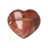 Versteend hout hart ± 3 cm  Nr 58