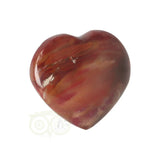 Versteend hout hart ± 3 cm  Nr 58