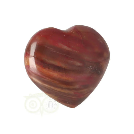 Versteinertes Holzherz ± 3 cm Nr. 58