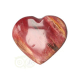 Versteend hout hart ± 3 cm  Nr 60