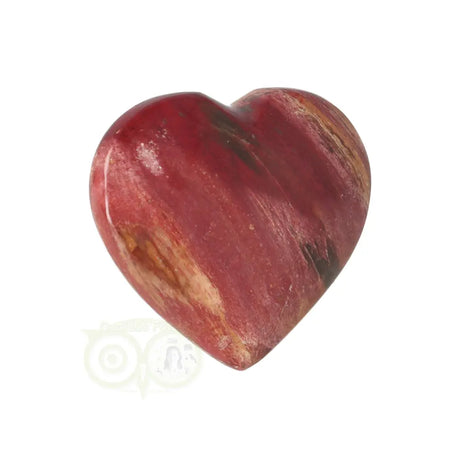 Versteinertes Holzherz ± 3 cm Nr. 60