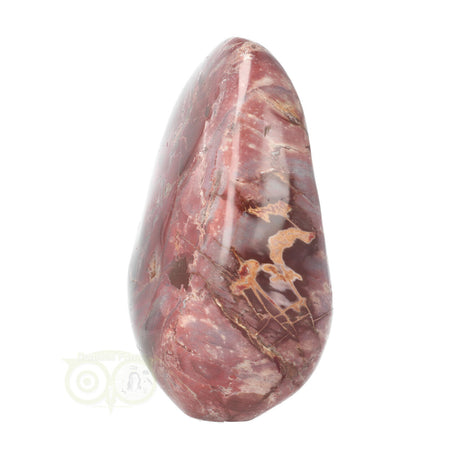 Versteend hout sculptuur nr 18