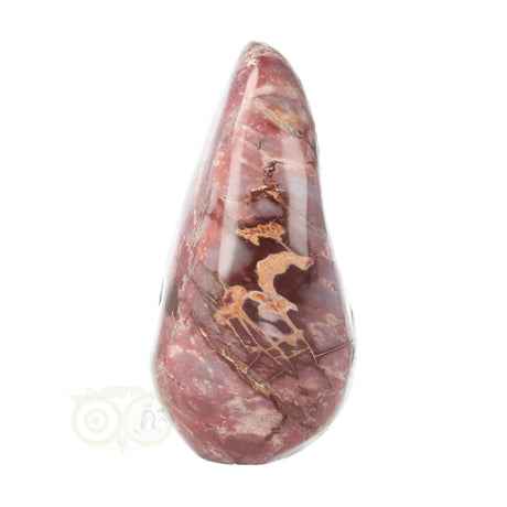 Versteend hout sculptuur nr 18