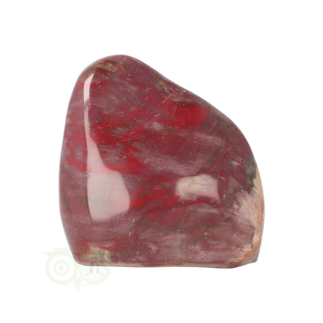 Versteend hout sculptuur nr 23