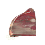 Versteend hout sculptuur nr 23