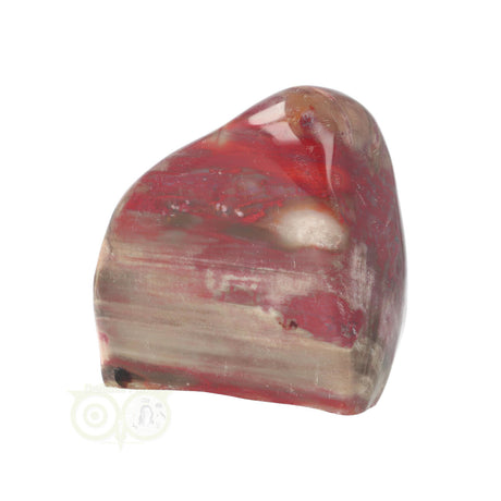 Versteend hout sculptuur nr 23