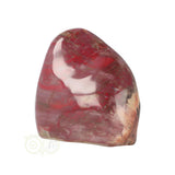 Versteend hout sculptuur nr 23