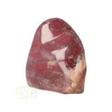 Versteend hout sculptuur nr 23