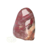 Versteend hout sculptuur nr 23