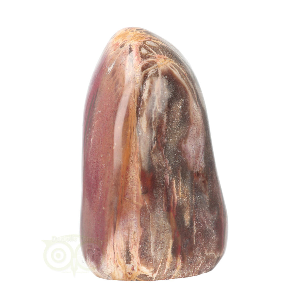 Versteend hout sculptuur nr 28