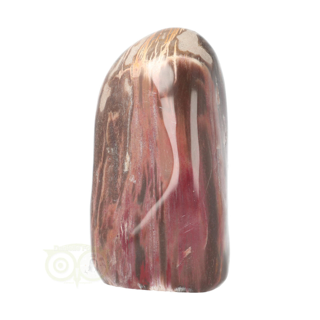 Versteend hout sculptuur nr 28