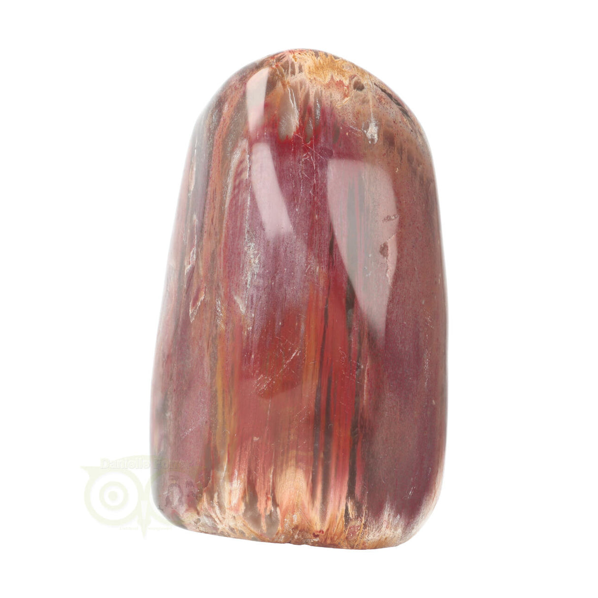 Versteend hout sculptuur nr 28