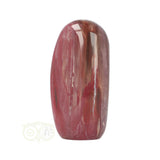 Versteend hout sculptuur nr 29