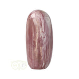 Versteend hout sculptuur nr 29