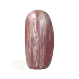 Versteend hout sculptuur nr 29