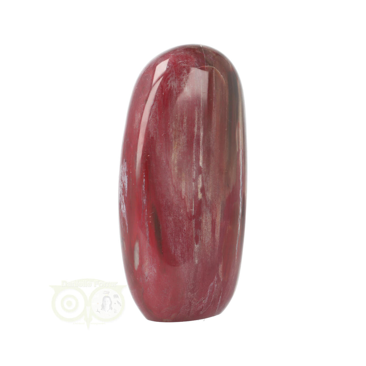 Versteend hout sculptuur nr 29