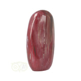 Versteend hout sculptuur nr 29