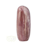 Versteend hout sculptuur nr 29