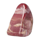 Versteend hout sculptuur nr 30