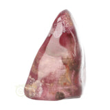 Versteend hout sculptuur nr 30