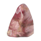 Versteend hout sculptuur nr 30