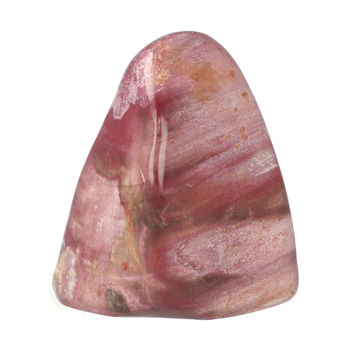 Versteend hout sculptuur nr 30