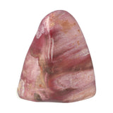 Versteend hout sculptuur nr 30