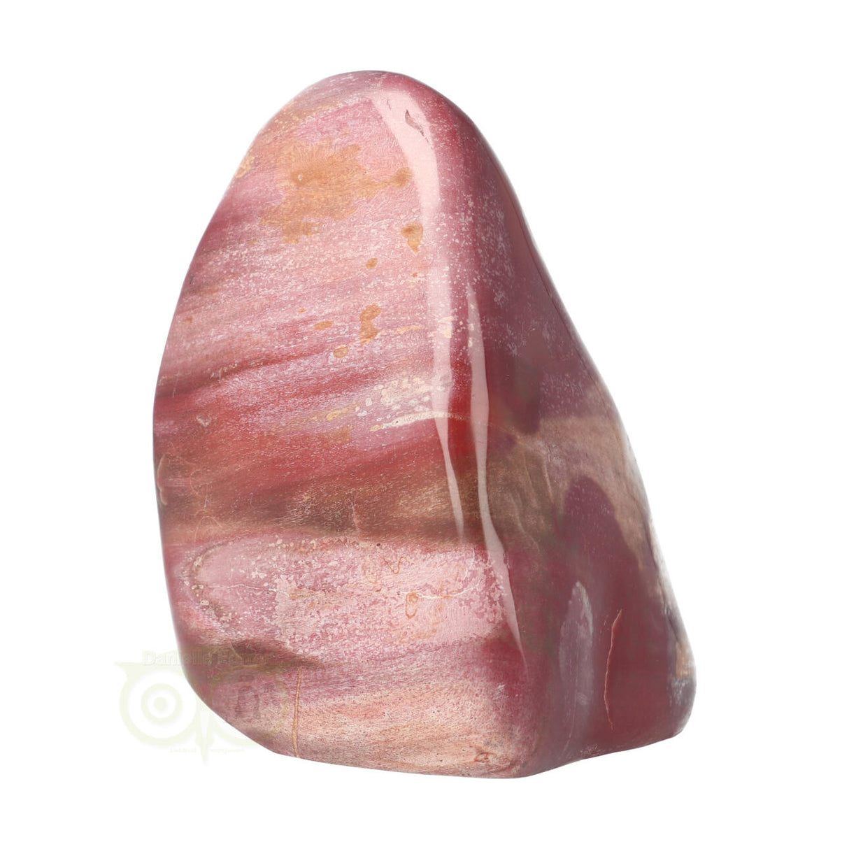 Versteend hout sculptuur nr 30