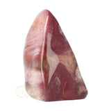 Versteend hout sculptuur nr 30