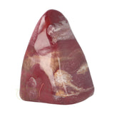 Versteend hout sculptuur nr 30